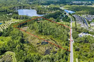 6800 Wisteria Loop, Land O Lakes, FL 34638 - Photo 92
