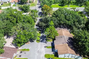10306 Councils Way, Temple Terrace, FL 33617 - Photo 8