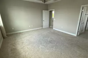 29211 Perilli Pl, Wesley Chapel, FL 33543 - Photo 16