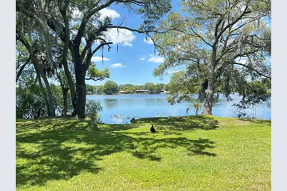 7234 E Bank Drive #7234, Tampa, FL 33617 - Photo 8