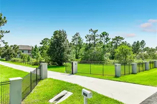 19504 Robertson St, Orlando, FL 32833 - Photo 2