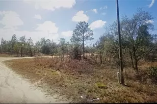 Tinamou Ave, Weeki Wachee, FL 34614 - Photo 1