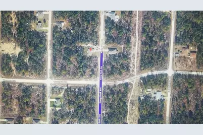 Tinamou Avenue, Weeki Wachee, FL 34614 - Photo 6