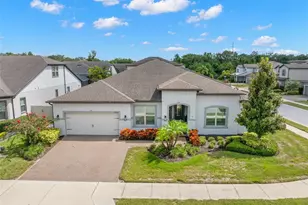 1528 Forest Glen Ct, Palm Harbor, FL 34683 - Photo 48