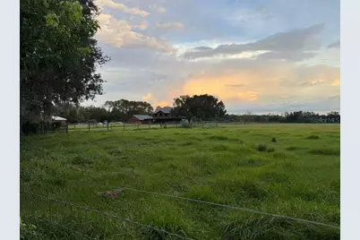 28046 Bayhead Road, Dade City, FL 33523 - Photo 44
