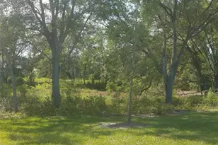 14263 Damselfly Dr, Tampa, FL 33625 - Photo 40