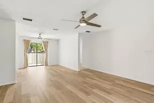 20 Evelyn Ct, Oldsmar, FL 34677 - Photo 20