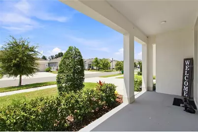 33635 Hamilton Hill Lane, Wesley Chapel, FL 33545 - Photo 6