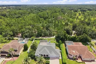 501 Manisha Pl, Tarpon Springs, FL 34688 - Photo 42
