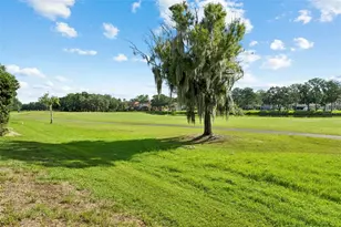 15611 Shoal Creek Pl, Odessa, FL 33556 - Photo 52