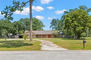 27907 Quail View Ln, Wesley Chapel, FL 33544 - Photo 1