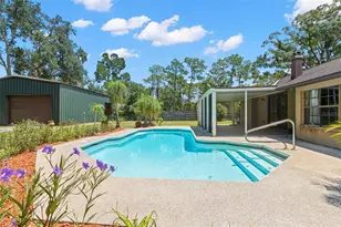 27907 Quail View Ln, Wesley Chapel, FL 33544 - Photo 22