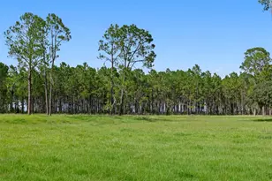 7850 Four Pines Rd, Plant City, FL 33565 - Photo 84