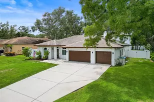 4448 Glenbrook Dr, Palm Harbor, FL 34683 - Photo 2