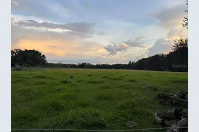 27900 Bayhead Road, Dade City, FL 33523 - Photo 12
