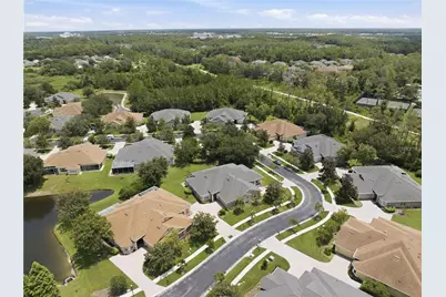 27325 Mistflower Drive, Wesley Chapel, FL 33544 - Photo 36
