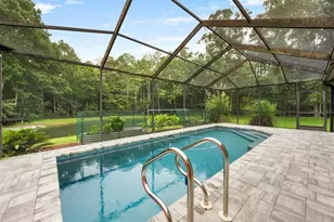 3600 Darston St, Palm Harbor, FL 34685 - Photo 34