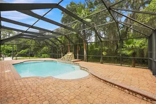 16414 Bridgelawn Ave, Lithia, FL 33547 - Photo 44