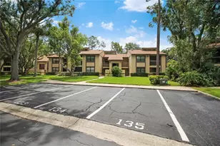 135 Woodlake Wynde, Oldsmar, FL 34677 - Photo 26
