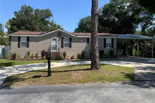 10406 Brussels Dr, Riverview, FL 33578 - Photo 1