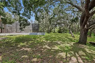 10703 Gallop Pl, Tampa, FL 33626 - Photo 20