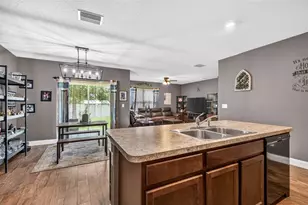 35900 Hillbrook Ave, Zephyrhills, FL 33541 - Photo 12
