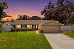 23252 Charlston Pl, Land O Lakes, FL 34639 - Photo 1