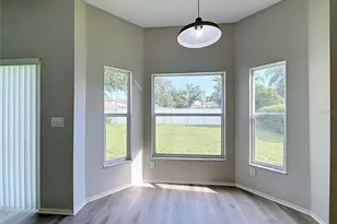 27402 Coral Springs Dr, Wesley Chapel, FL 33544 - Photo 14