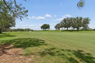 17714 Grey Eagle Rd, Tampa, FL 33647 - Photo 34