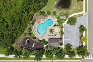 1737 Virginia Willow Dr, Wesley Chapel, FL 33544 - Photo 64