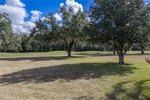 12518 Lake Jovita Blvd, Dade City, FL 33525 - Photo 74