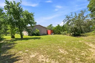 8279 Sunshine Grove Rd, Brooksville, FL 34613 - Photo 10