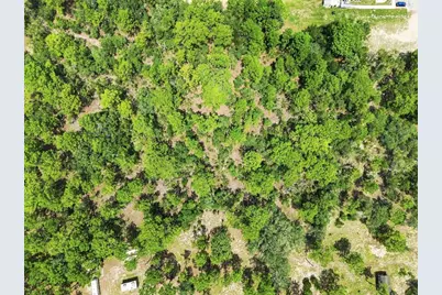 8279 Sunshine Grove Road, Brooksville, FL 34613 - Photo 40