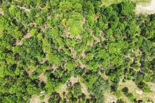 8279 Sunshine Grove Rd, Brooksville, FL 34613 - Photo 40