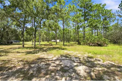 8279 Sunshine Grove Road, Brooksville, FL 34613 - Photo 8