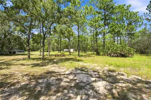 8279 Sunshine Grove Rd, Brooksville, FL 34613 - Photo 8