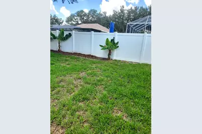 1003 Lumsden Trace Circle, Valrico, FL 33594 - Photo 32