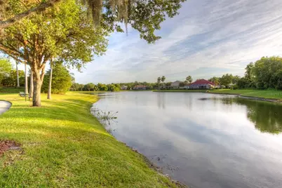 10245 Devonshire Lake Drive, Tampa, FL 33647 - Photo 36