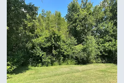 3145 Dunstable Drive, Land O Lakes, FL 34638 - Photo 14