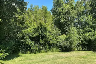 3145 Dunstable Dr, Land O Lakes, FL 34638 - Photo 14