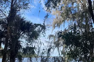 17630 NE 246th Pl, Fort Mc Coy, FL 32134 - Photo 50