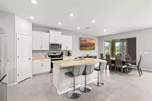 16980 Oval Rum Dr, Wimauma, FL 33598 - Photo 12