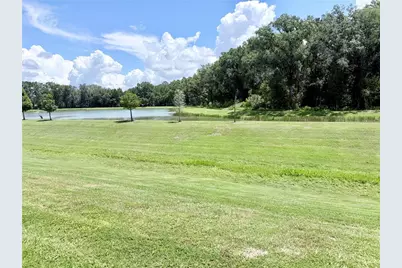 1387 Colt Creek Place, Wesley Chapel, FL 33543 - Photo 26