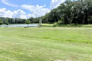 1387 Colt Creek Pl, Wesley Chapel, FL 33543 - Photo 26
