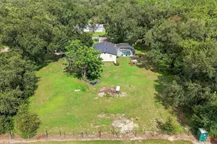 3812 Reverend Dar Dar Dr, Plant City, FL 33565 - Photo 40
