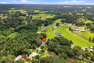 3812 Reverend Dar Dar Dr, Plant City, FL 33565 - Photo 38
