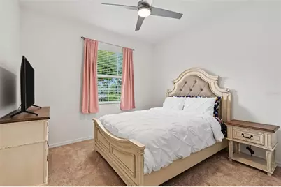33067 Windelstraw Drive, Wesley Chapel, FL 33545 - Photo 20