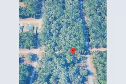 288 E Kingsdale Street, Citrus Springs, FL 34434 - Photo 6