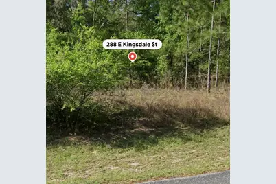288 E Kingsdale Street, Citrus Springs, FL 34434 - Photo 2