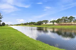 4874 Marble Springs Cir, Wimauma, FL 33598 - Photo 46